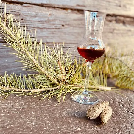 Grossschedl Zum Kramerwirt Mini-hôtel 3*