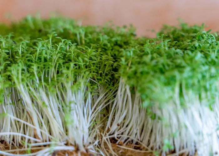 Grossschedl Zum Kramerwirt Kro 3*